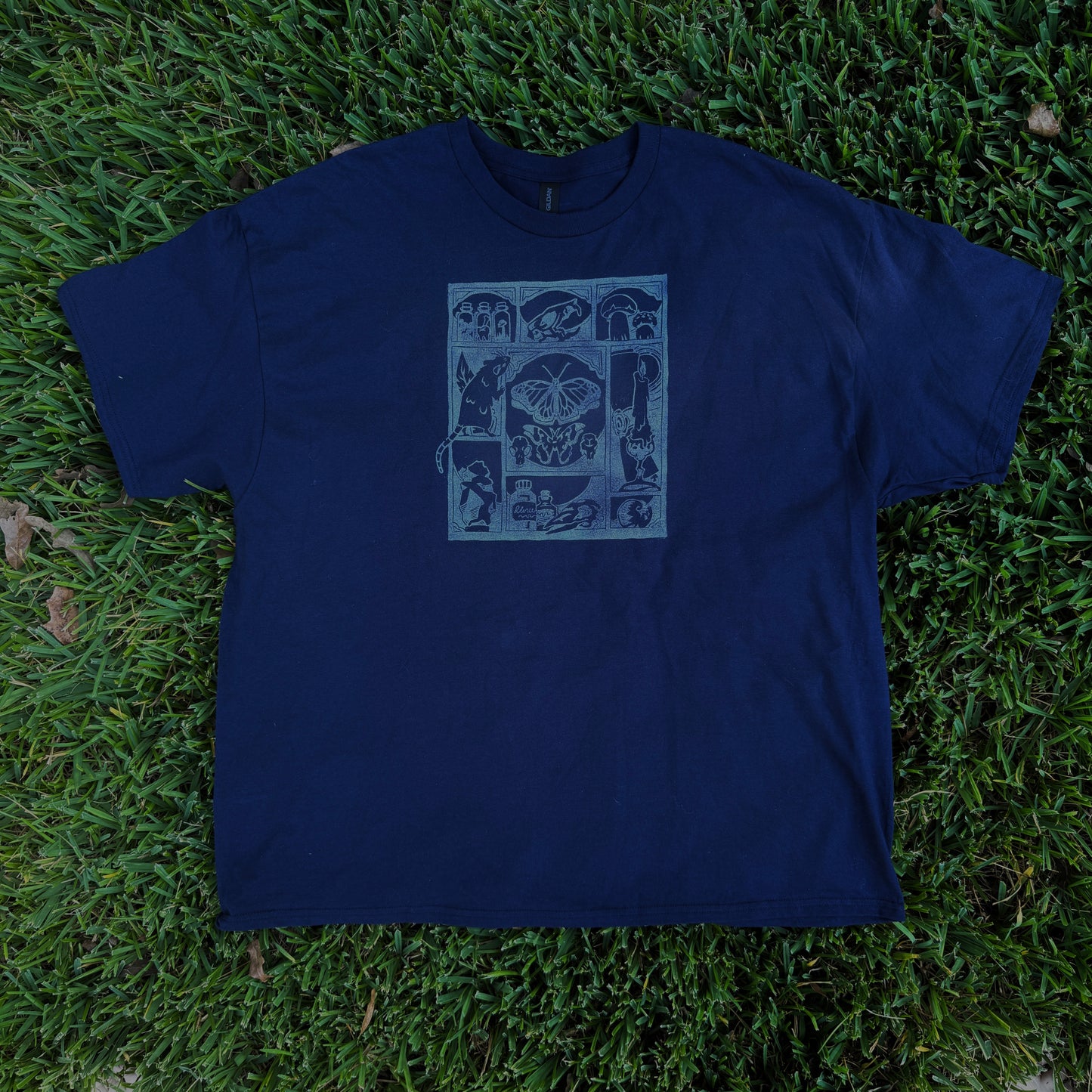 Curiosities Cabinet T-Shirt!