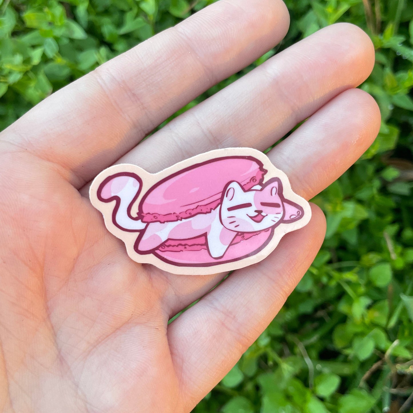 Macaroon Cat Sticker!