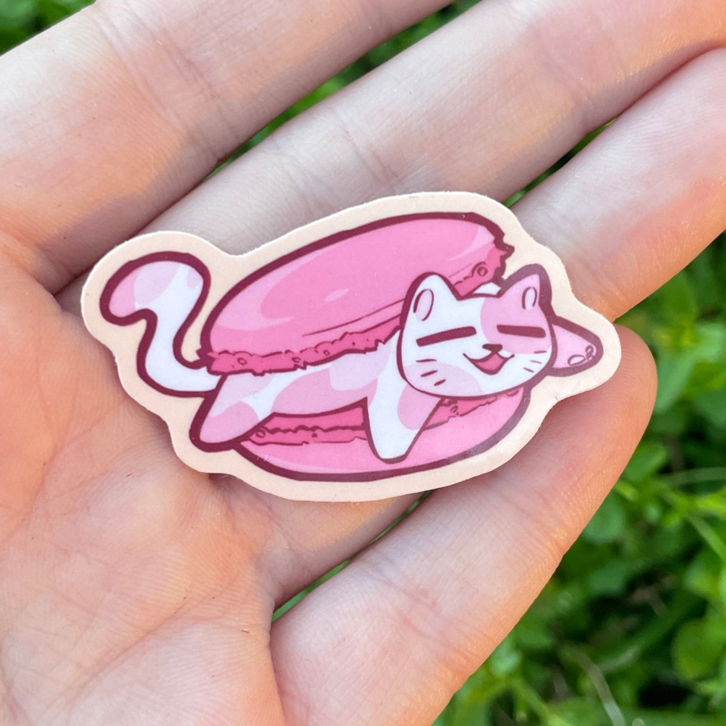 Macaroon Cat Sticker!