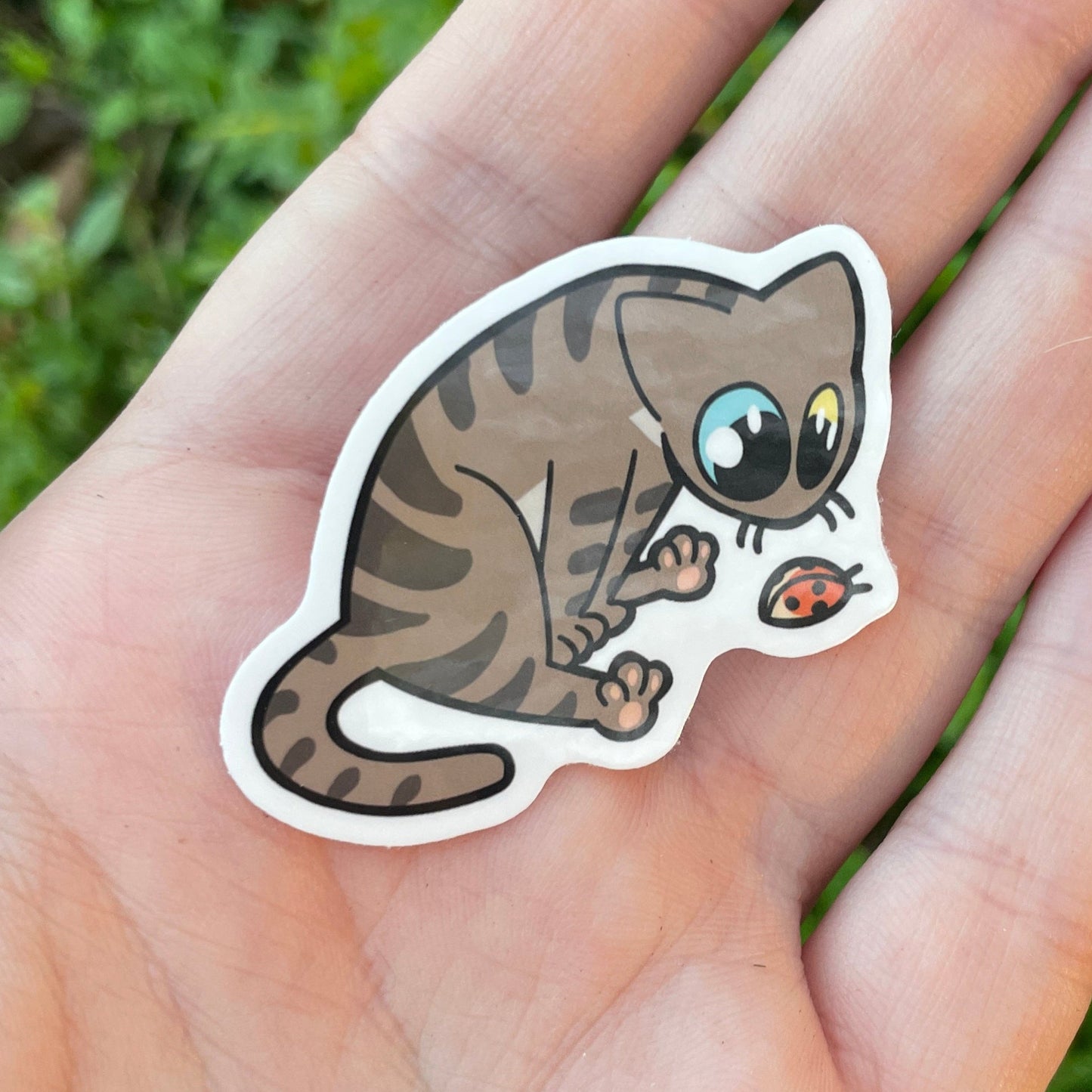 Bug Watchin' Sticker