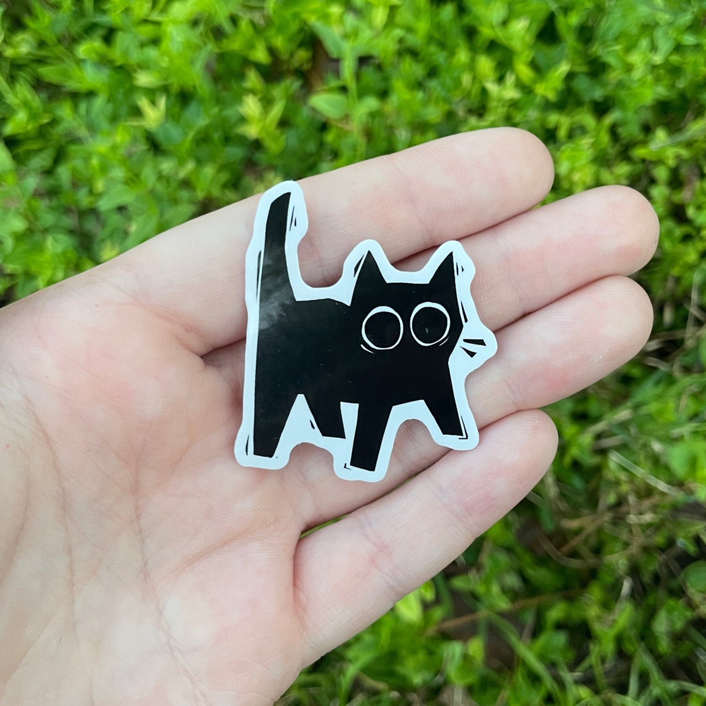 Scaredy Cat Sticker