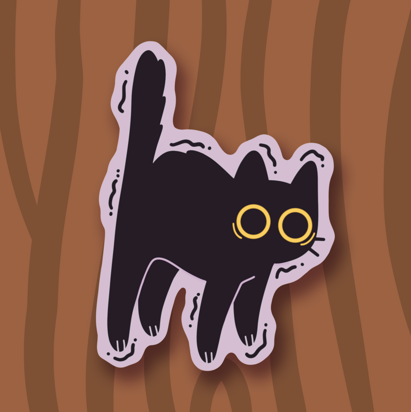 Scaredy Cat