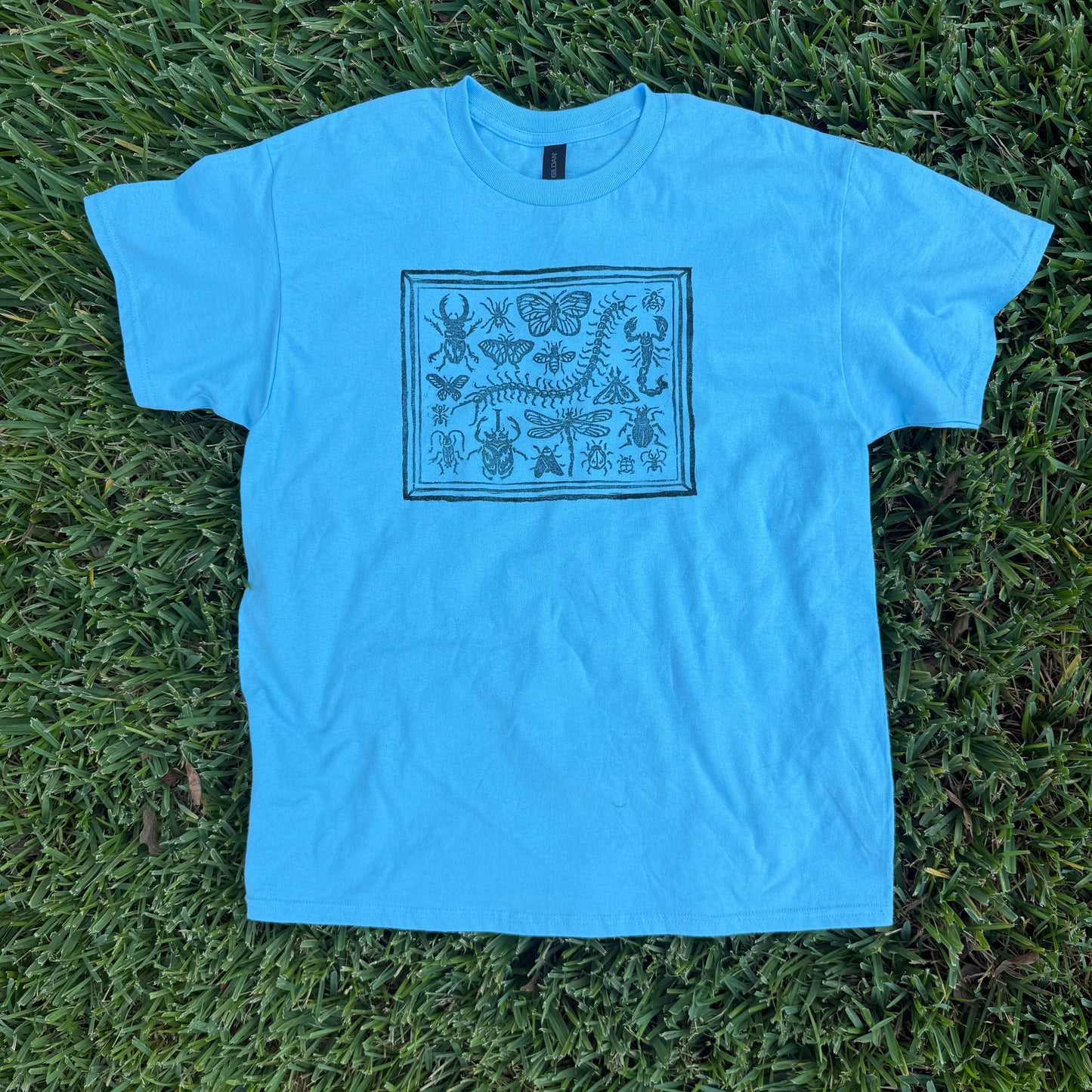 Bug Shadow Box T-Shirt!