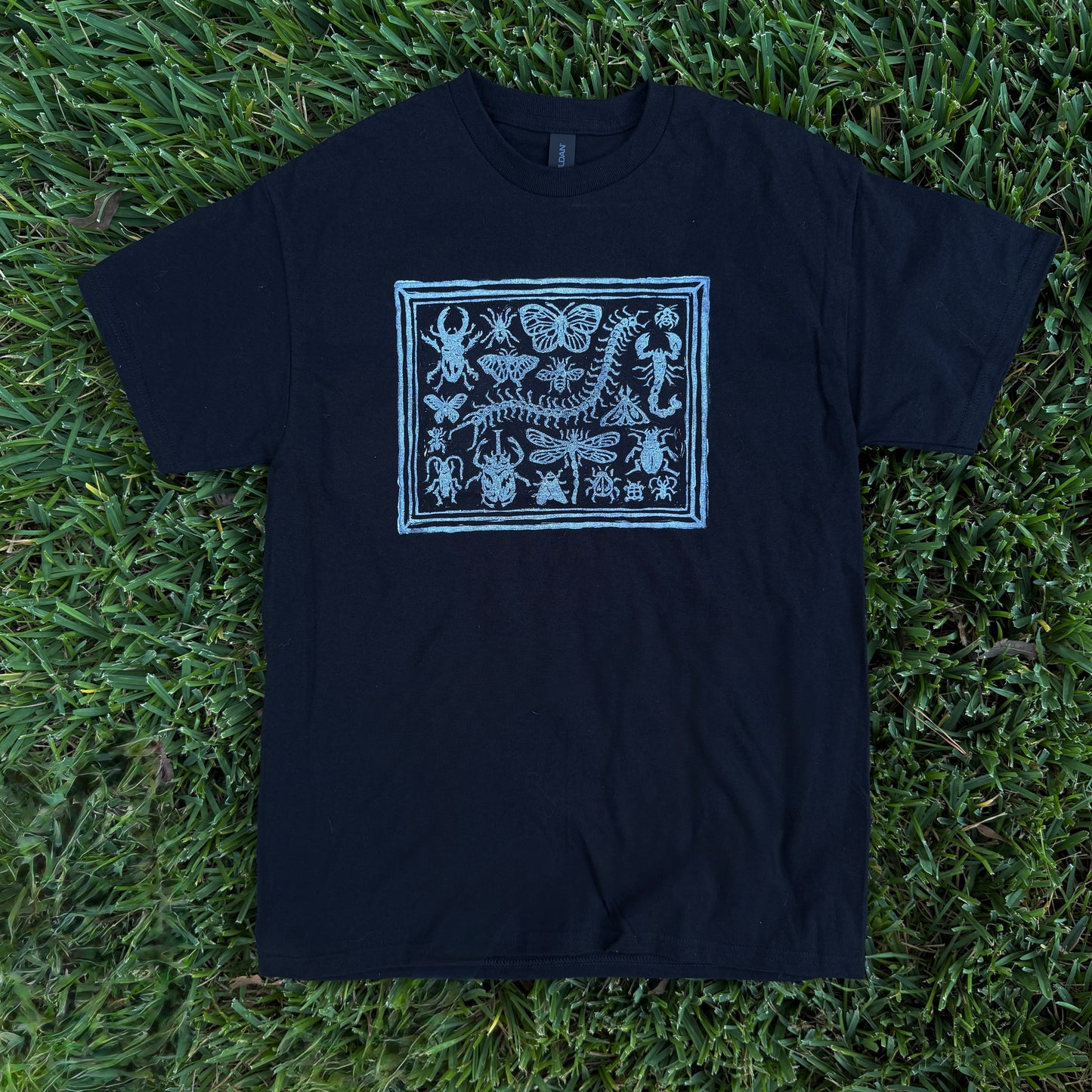 Bug Shadow Box T-Shirt!