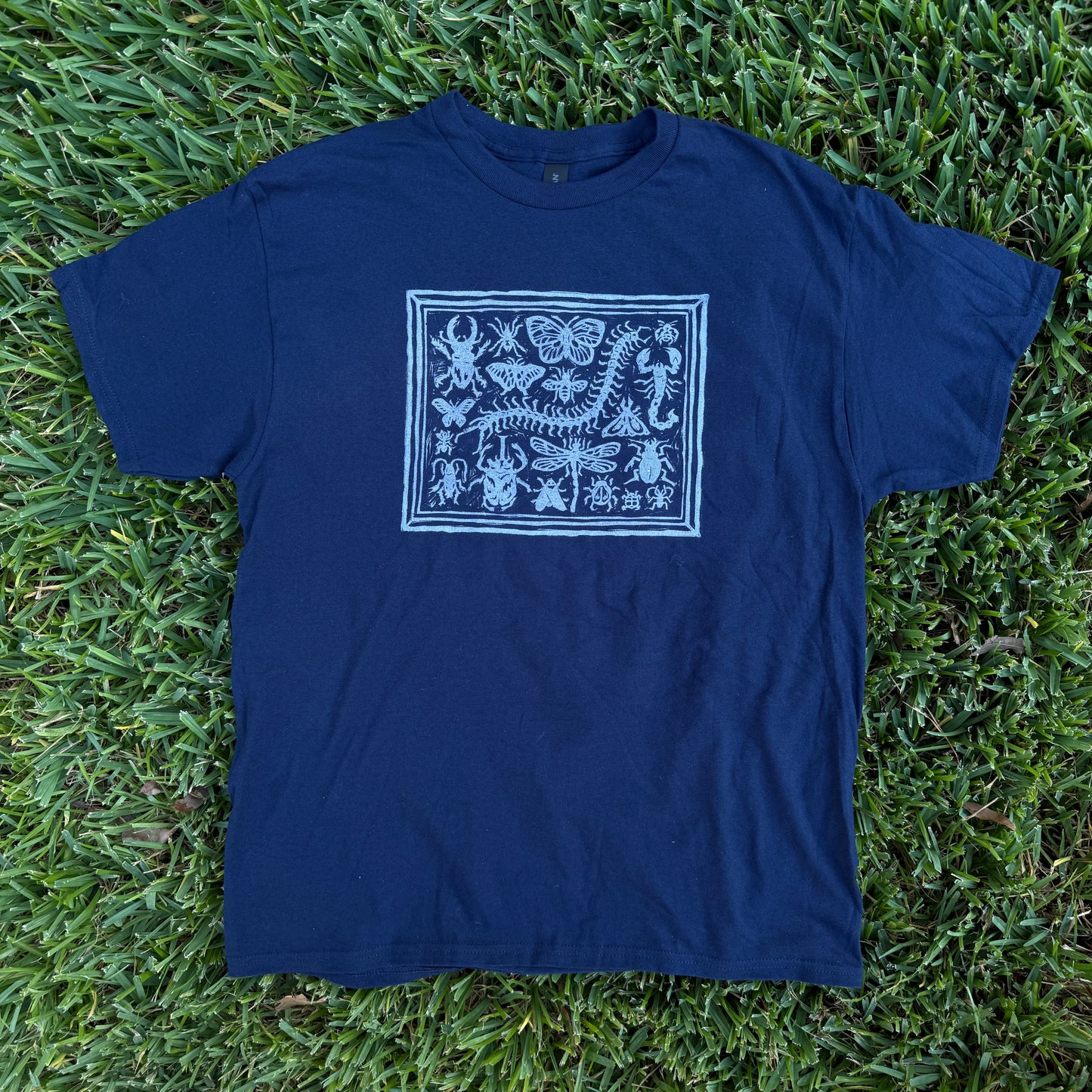 Bug Shadow Box T-Shirt!