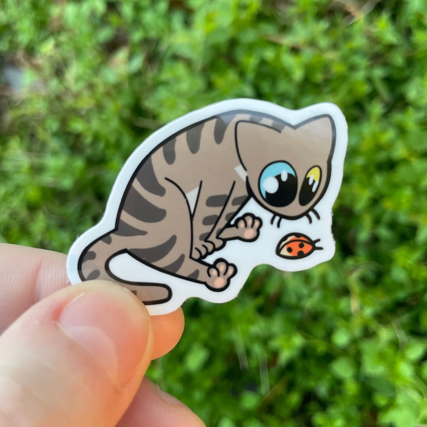 Bug Watchin' Sticker