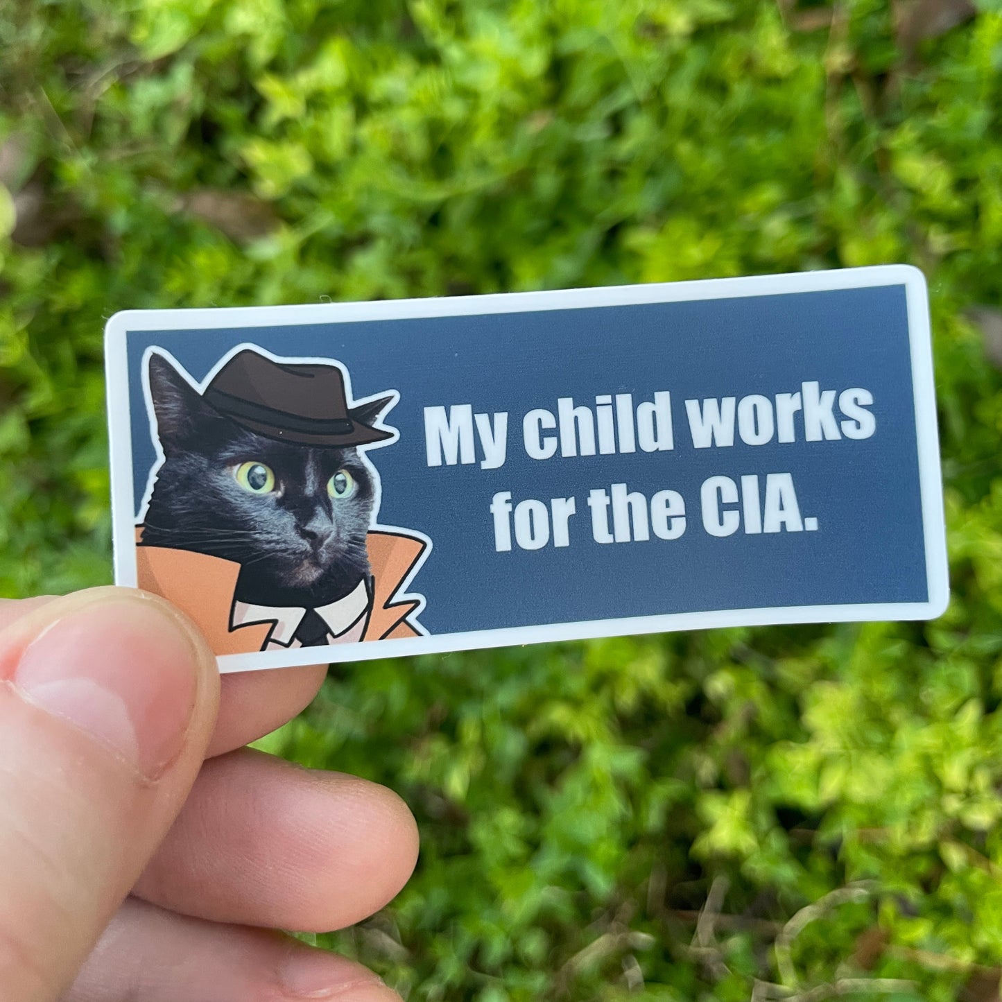 CIA Cat Sticker!