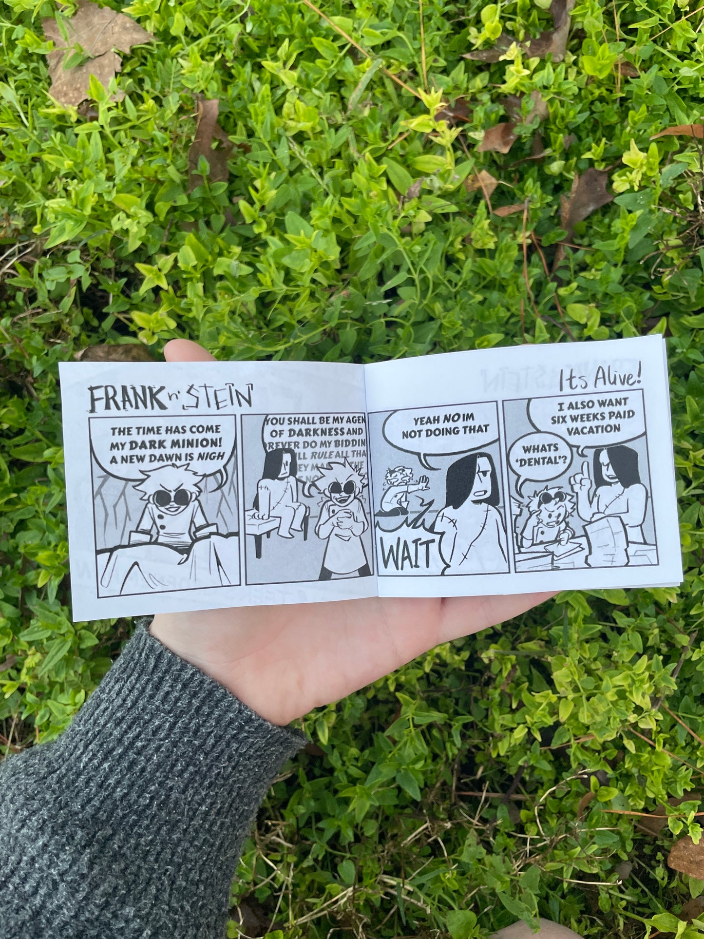 Frank and Stein Mini Comic [Minis]