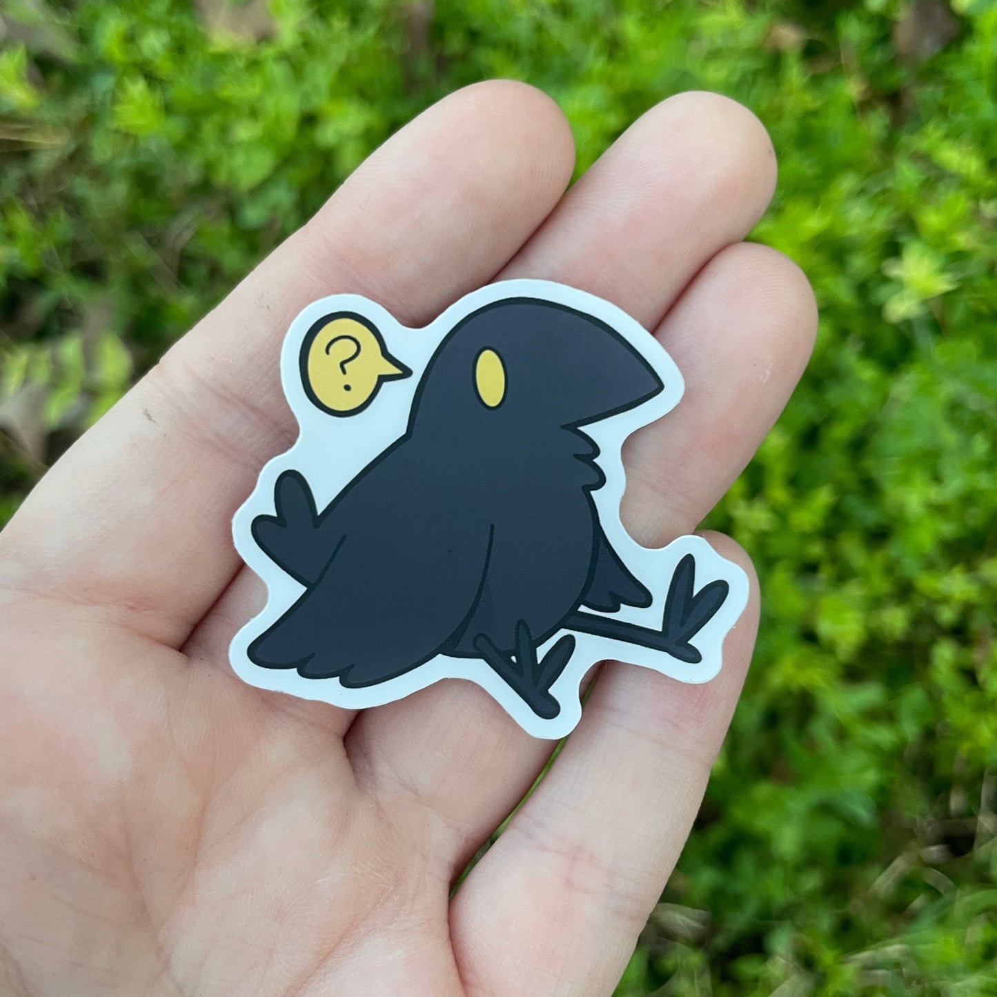 Confused Crow Sticker!